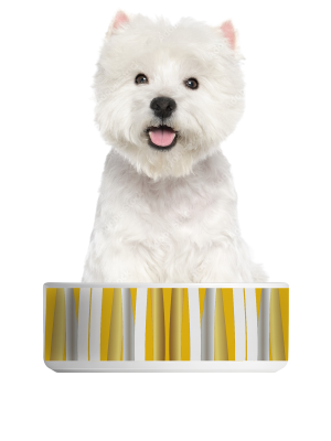 Little Warrior Ceramic Pet Bowl