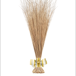 The Village Broom I