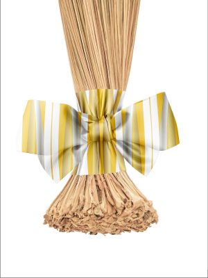The Village Broom I