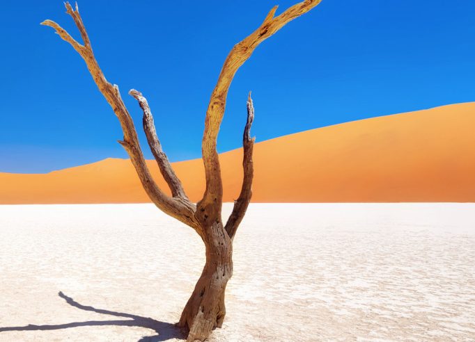 Food-Culture-Dead-Vlei-in-Naukluft-National-Park-Namibia-1000x1176